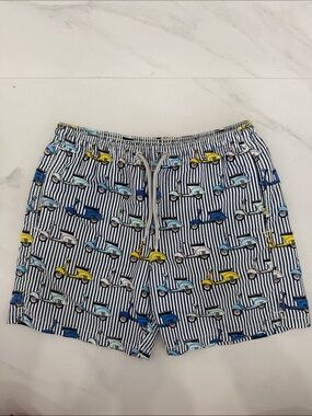MC2 Saint Barth Navy & White Striped Swim Trunks with Multicolor Scooter Print